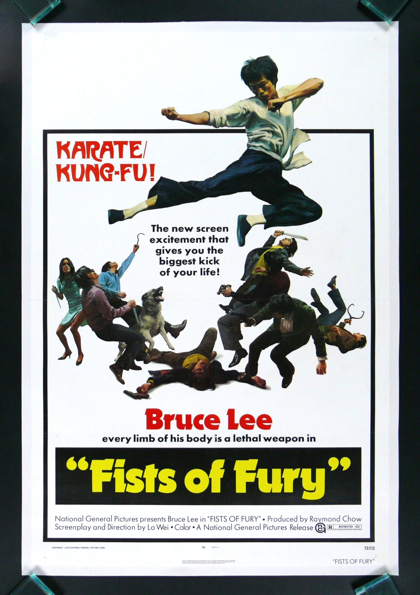 FISTS OF FURY