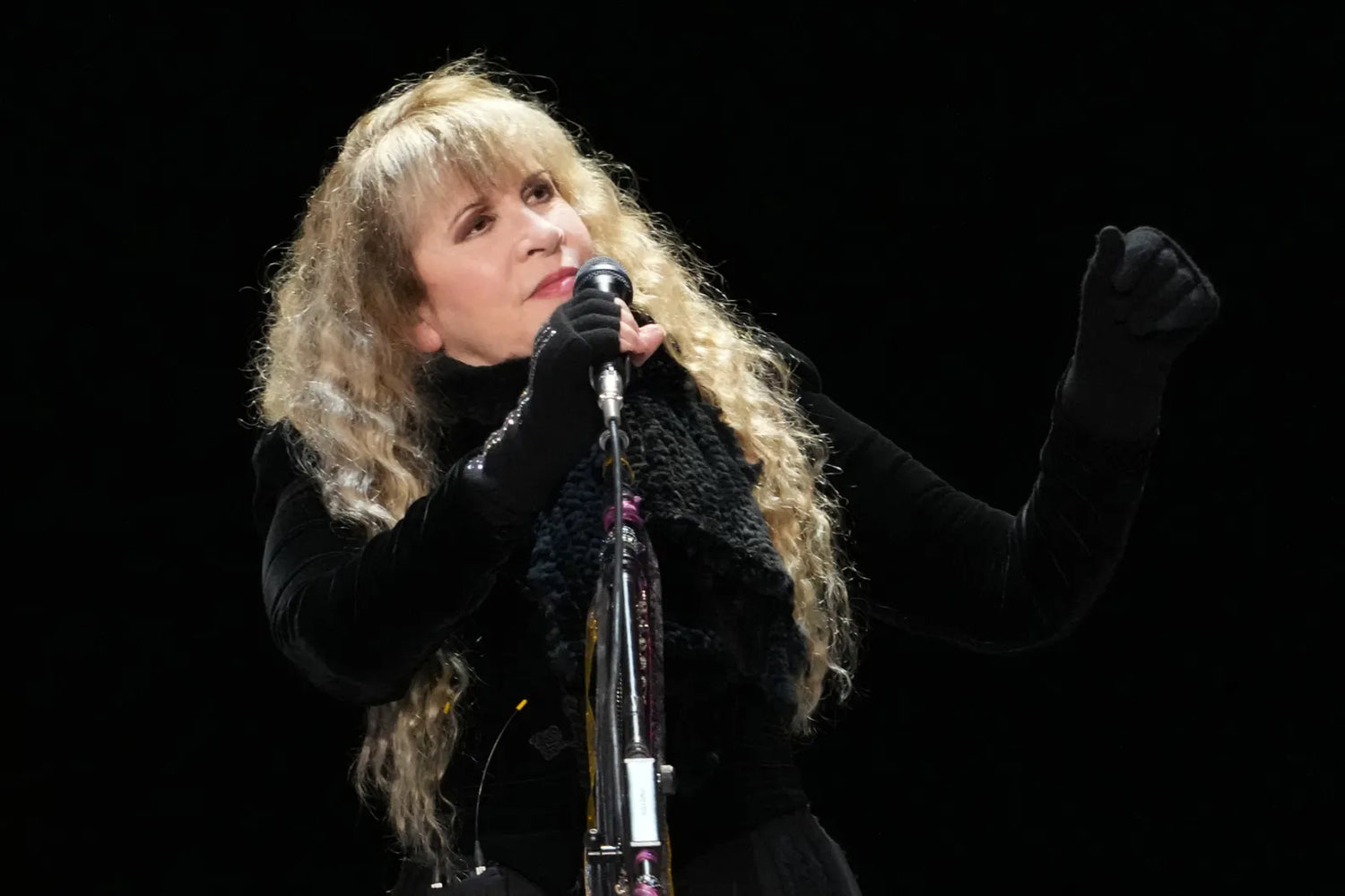Stevie Nicks