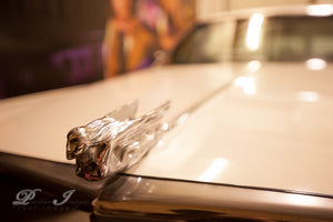 Elvis Presley Personally Owned 1974 Cadillac