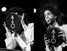 Load image into Gallery viewer, Prince Remo Tambourine