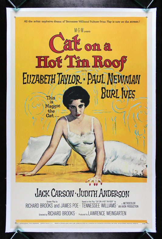 CAT ON A HOT TIN ROOF
