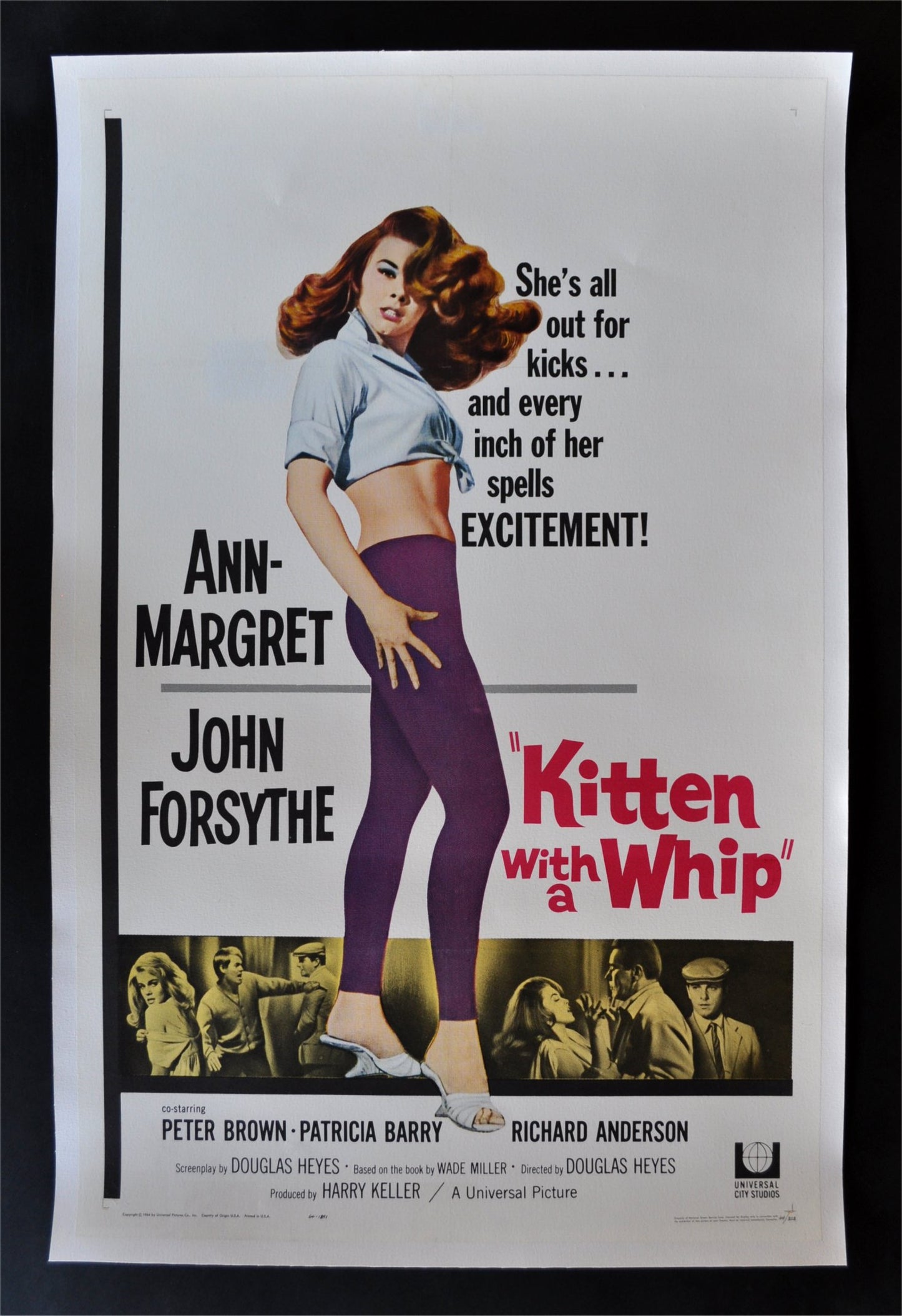 KITTEN WITH A WHIP