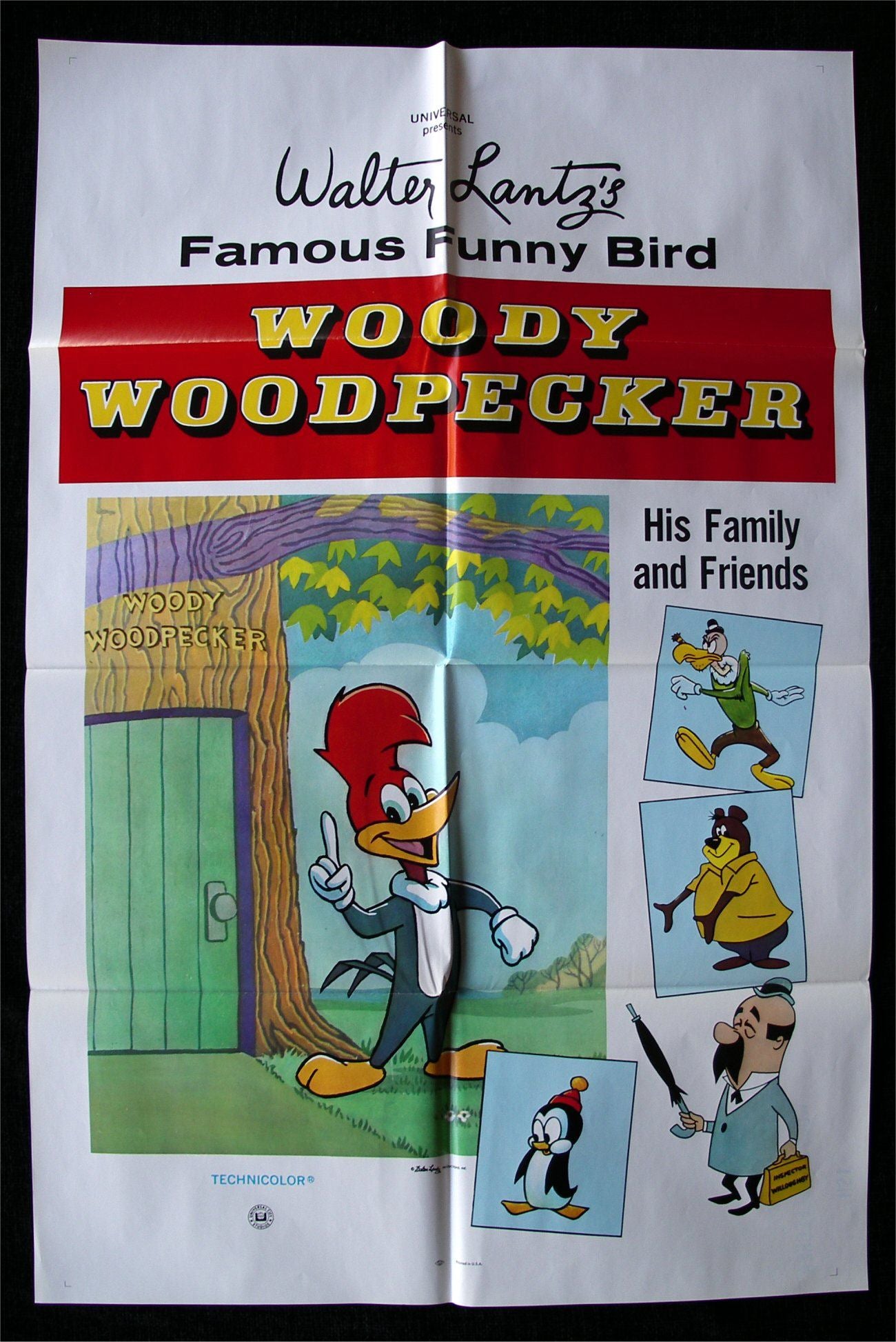 WOODY WOODPECKER